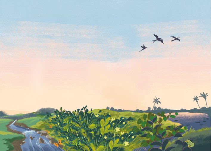 Sunset landscape