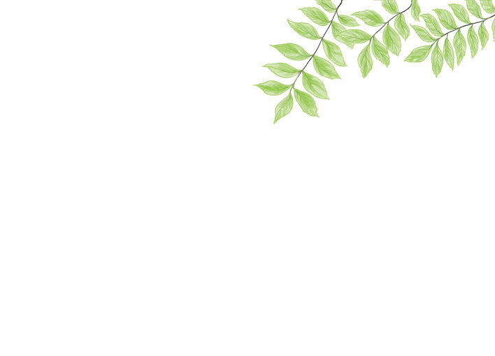 A stalk of leaves