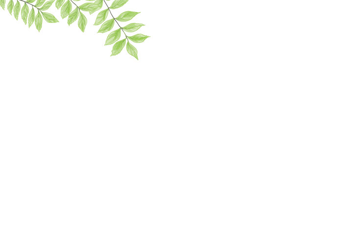 A stalk of leaves in the corner