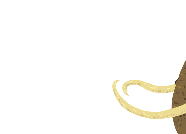 Woolly mammoth's tusks