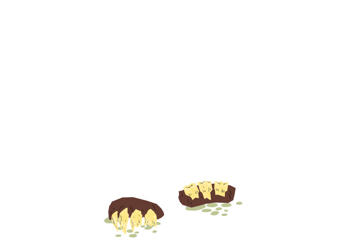 Ancient teeth
