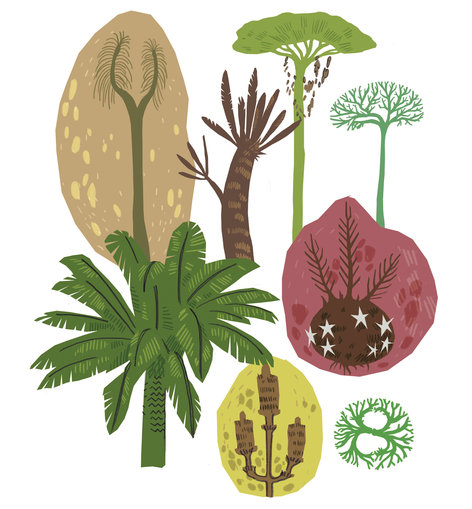 Strange plants and trees