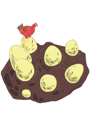 Fossilized egg