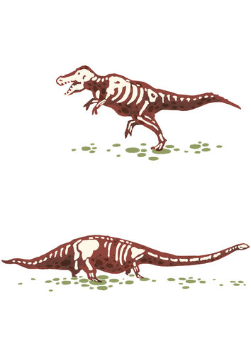 Dinosaur and their bone structure