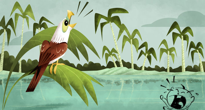 Brahminy kite calling like a crying child