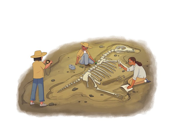 Palaeontologists discovering bones