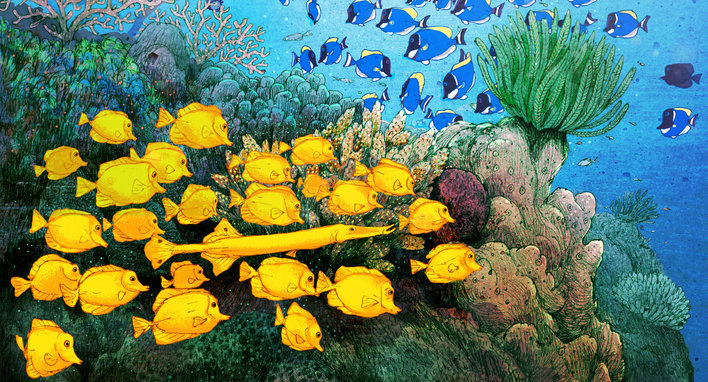 Explorers watching a school of yellow tang