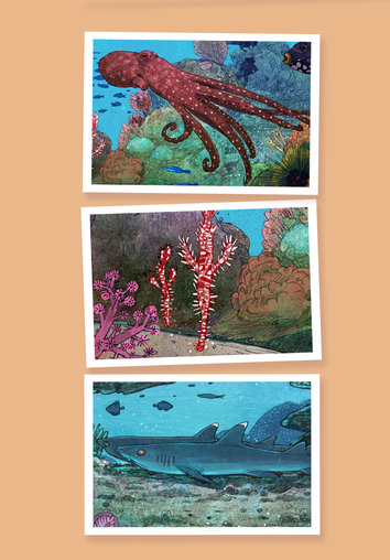 Reef octopus, ghost pipefish and whitetip reef shark