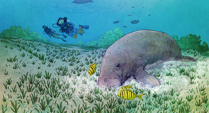 An explorer takes a photograph of a dugong