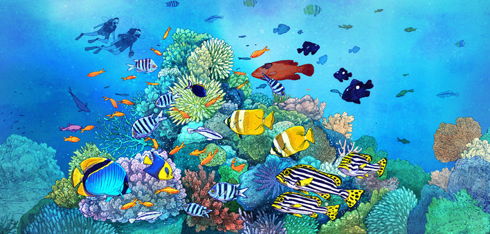Explorers in a coral reef