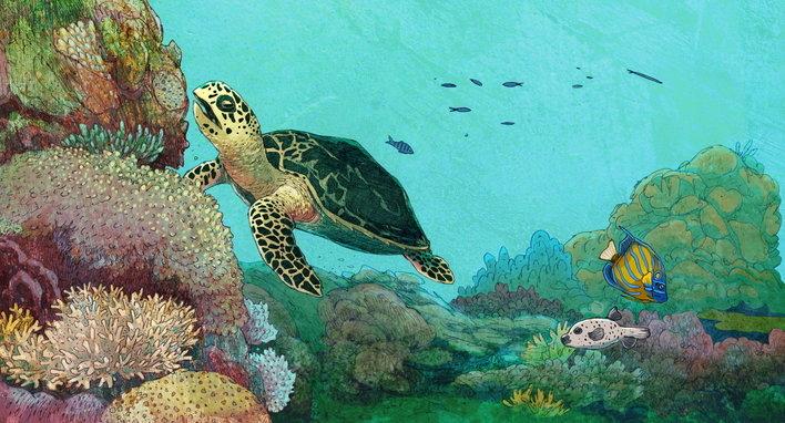 Hawksbill turtle swimming in a reef