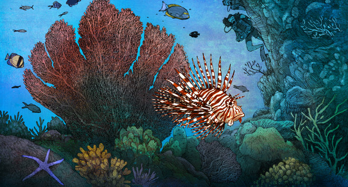 Lionfish in a coral reef