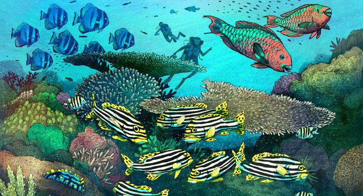 Explorers looking at fascinating creatures underwater