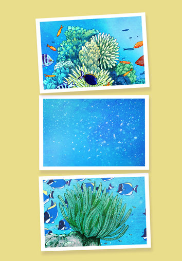 Corals, plankton and feather stars