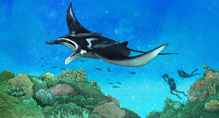 Explorers watch a manta ray swim by