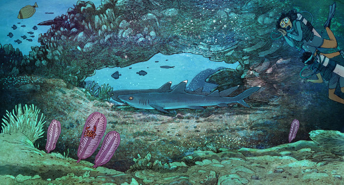 Explorers observe whitetip reef sharks