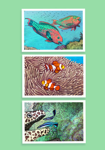 Parrot fish, clown fish, sea anemones and sea wrasses