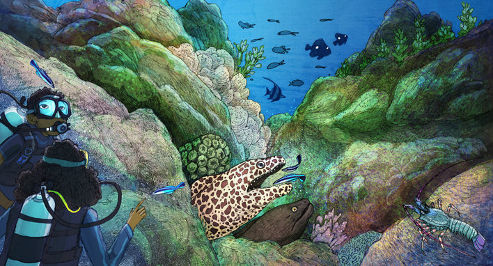 A honeycomb moray eel get its teeth cleaned by cleaner wrasses