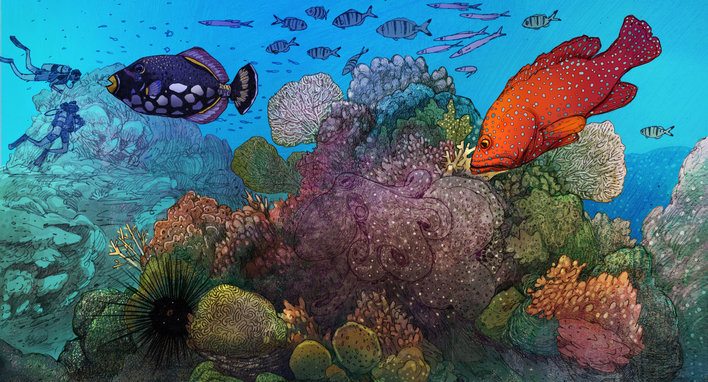 Triggerfish, sea urchins, coral grouper and a reef octopus in a reef