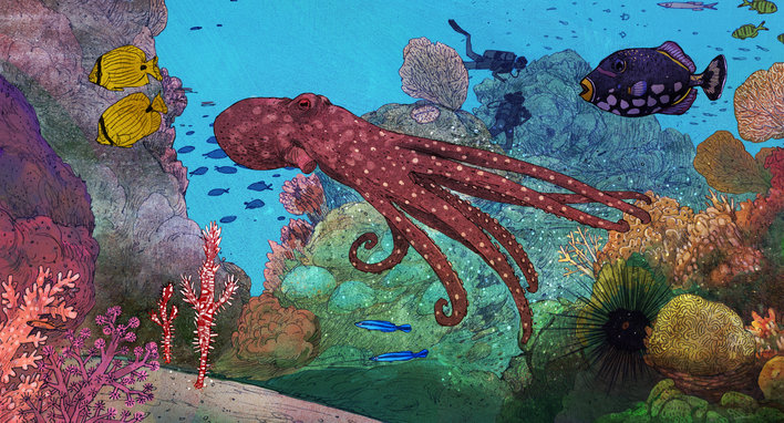 An octopus and ghostfish in a reef