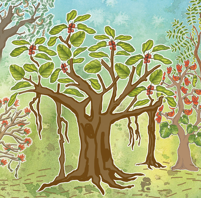 Banyan surrounded by other trees