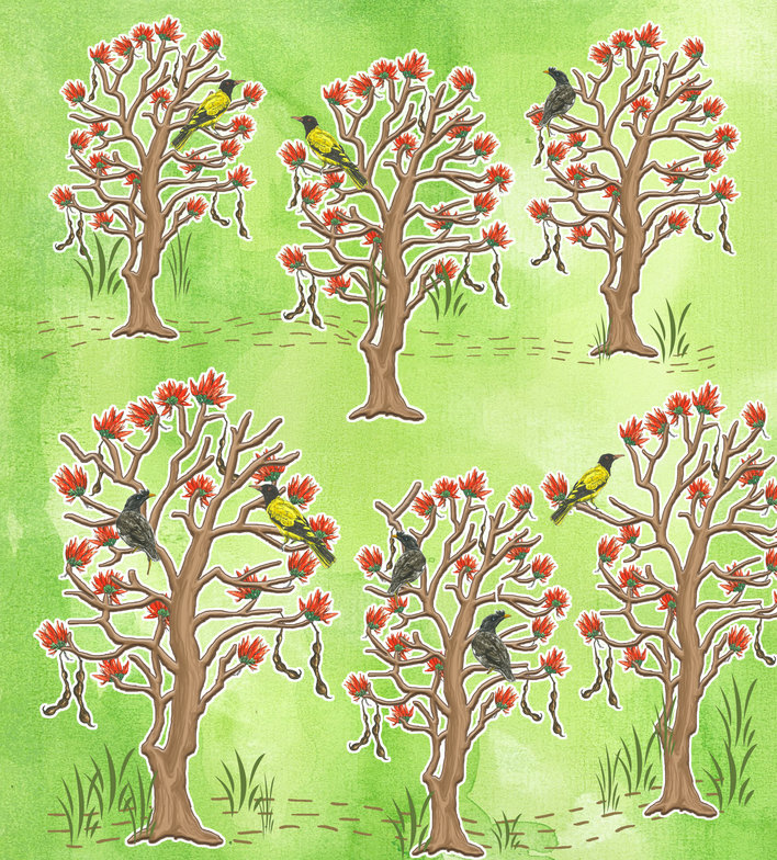 Six coral trees, with birds