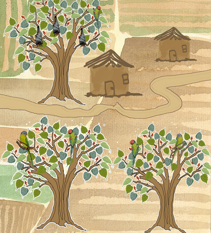 Three pipal trees, two huts