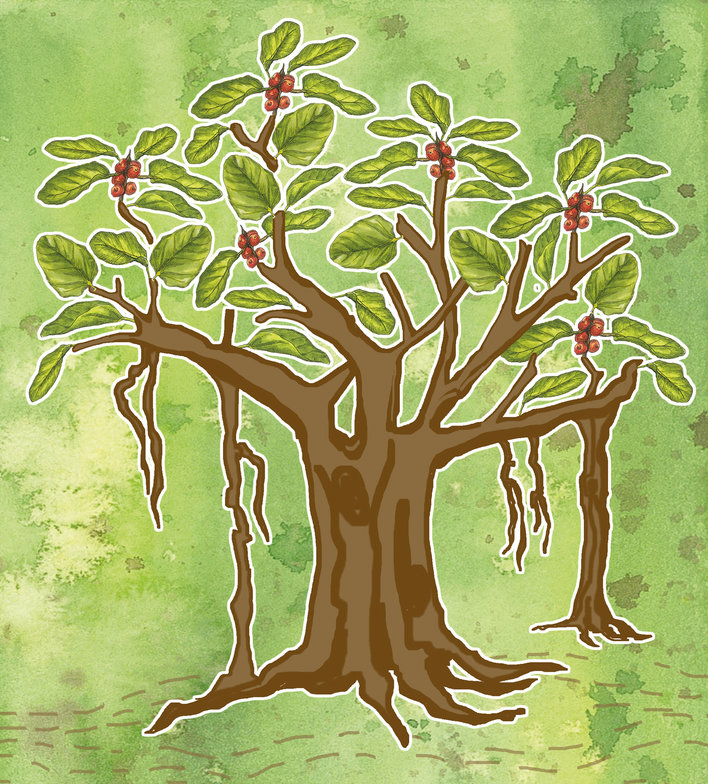 One big banyan tree