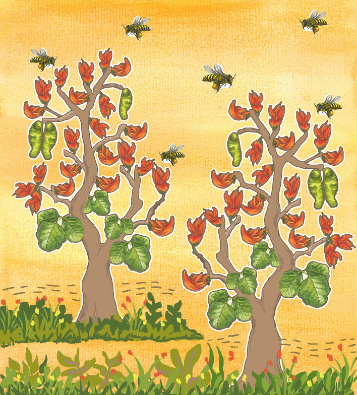 Two palash trees