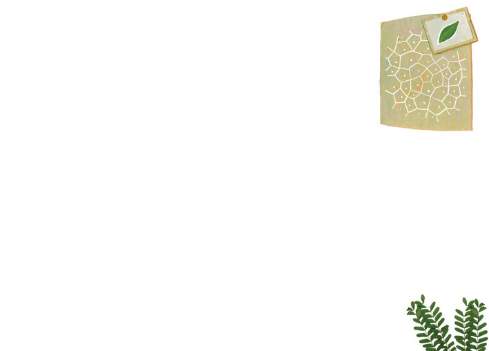 A leaf, ferns and some paper