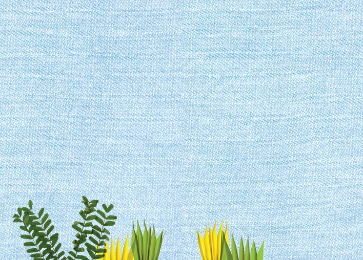 Some ferns, leaves and plants