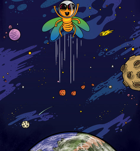 A fruit fly flying above the earth