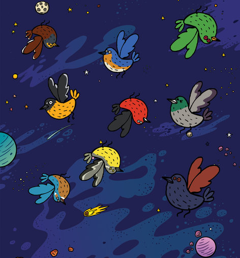 Birds floating in space