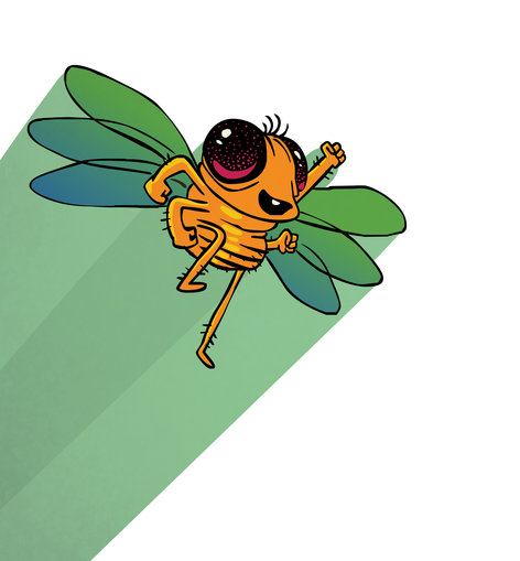 A fruit fly flying upward