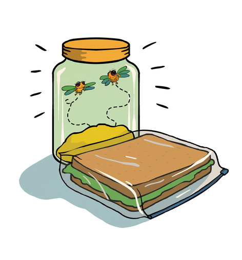 A sandwich