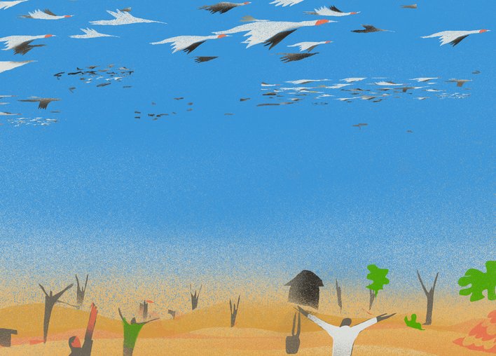 Villagers welcoming koonj birds with open arms