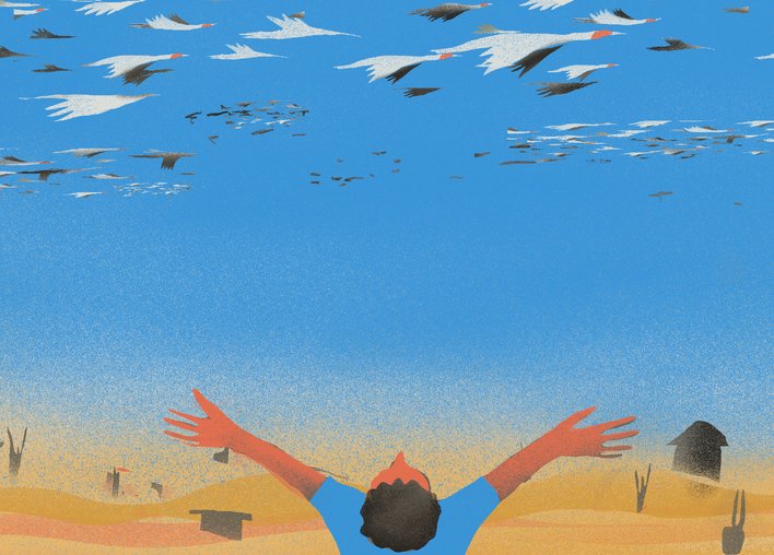 Boy welcoming koonj birds with open arms