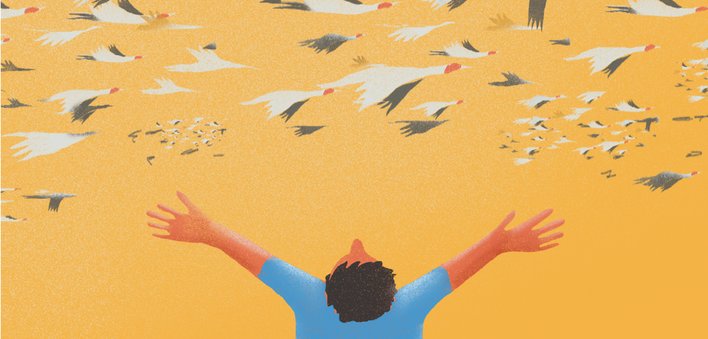 Boy looking at the koonj birds flying in the sky