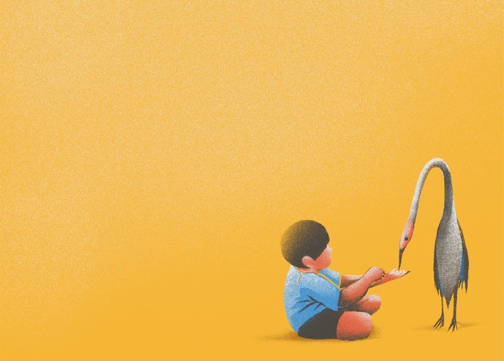 Boy feeding grains to a koonj bird