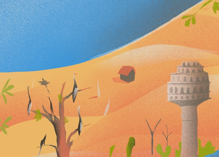 Koonj birds sitting on a tree in the desert