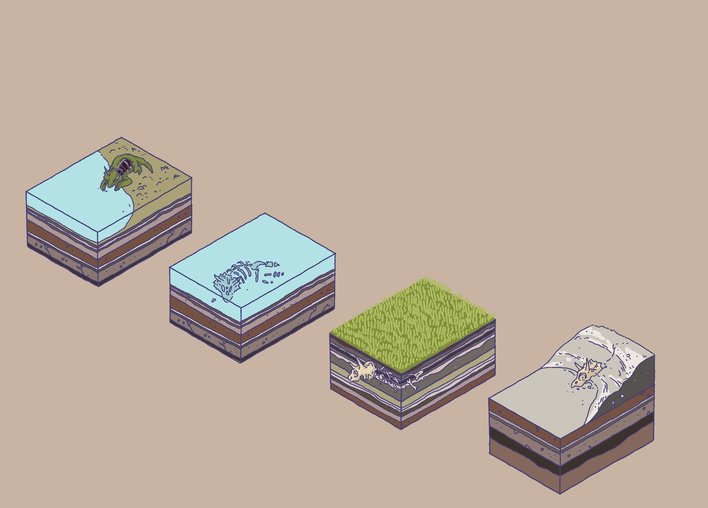 stages of fossil formation