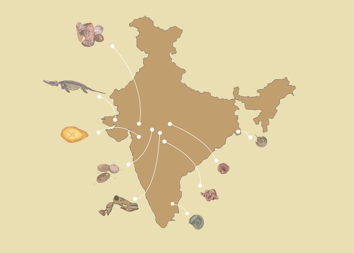 fossil map India