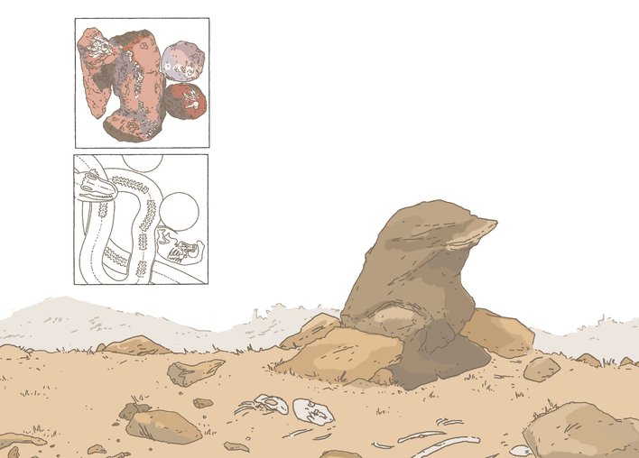a dry desert with bones