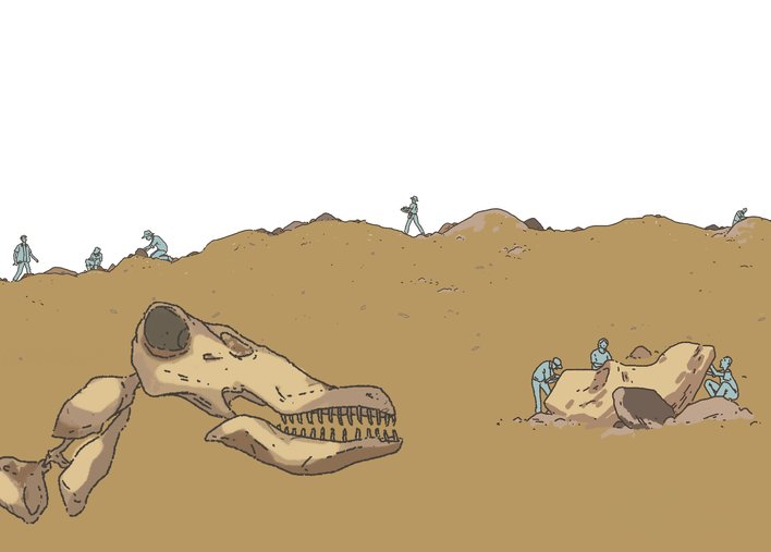 archeologists working at a fossil site