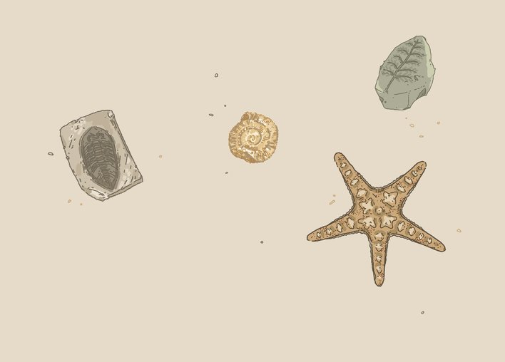 different types of fossils