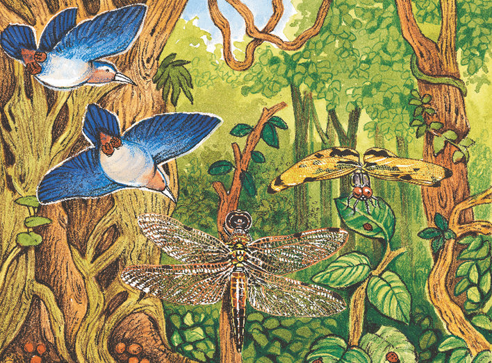 Birds, dragonflies and insects in a forest