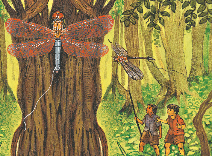 Dragonflies and people in a forest