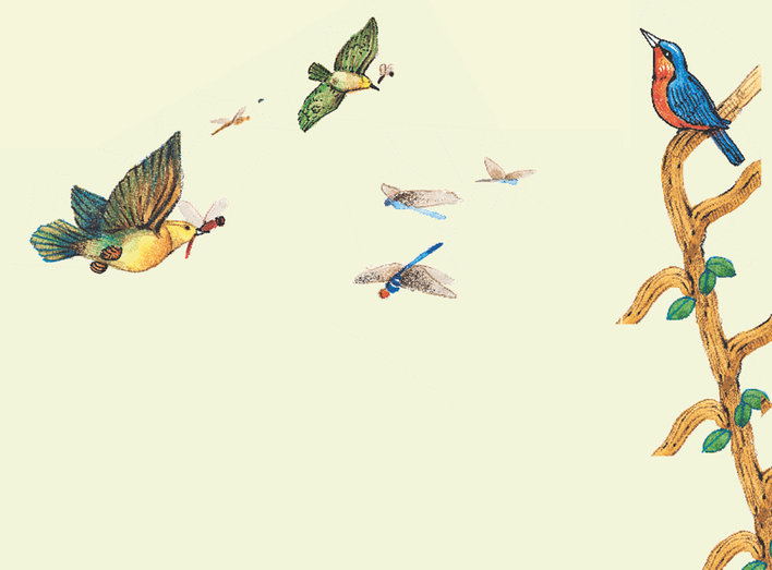 Birds and dragonflies flying