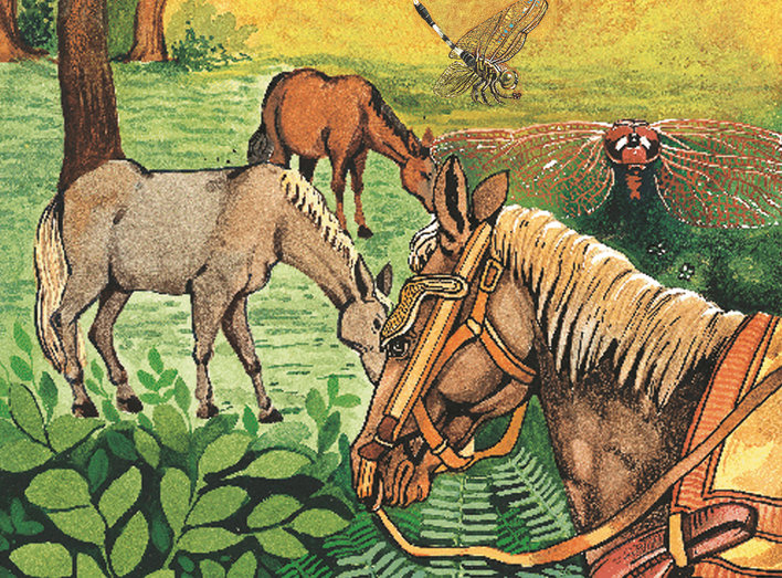 Dragonflies and horses