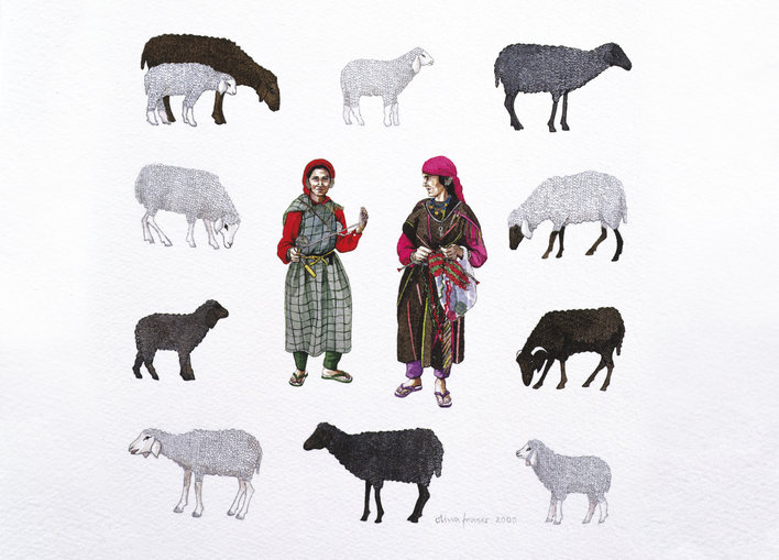 Two Himachali women knitting from sheep's wool